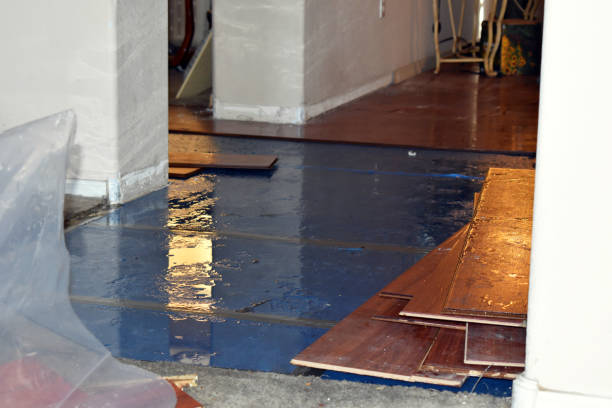 Professional Water Damage technician working in Brule, WI